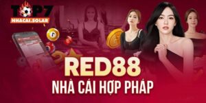 RED88 được đánh giá là thiên đường cá cược tại châu Á